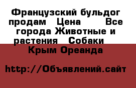 Французский бульдог продам › Цена ­ 1 - Все города Животные и растения » Собаки   . Крым,Ореанда